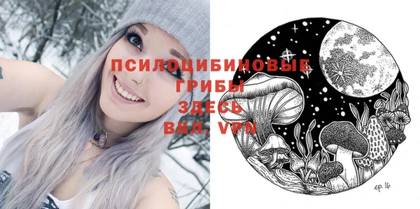 спиды Новодвинск